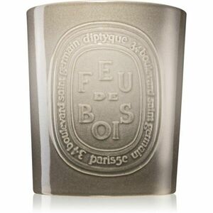 Diptyque Feu de Bois vonná svíčka 1500 g obraz