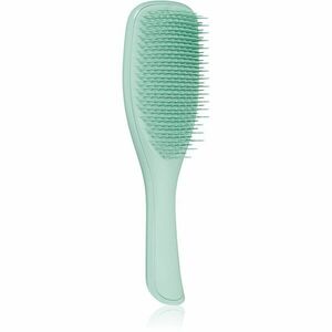 Tangle Teezer Ultimate Detangler Fine & Fragile Dark Teal plochý kartáč pro všechny typy vlasů 1 ks obraz