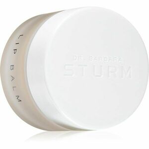Dr. Barbara Sturm Lip Balm hydratační a zjemňující balzám na rty 12 g obraz