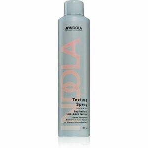 Indola Texture Spray stylingový sprej pro tepelnou úpravu vlasů 300 ml obraz
