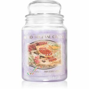 THD Vegetal Pepe Rosa E Caffe vonná svíčka 600 g obraz