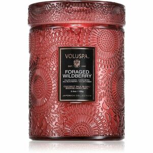 VOLUSPA Japonica Foraged Wildberry vonná svíčka 156 g obraz