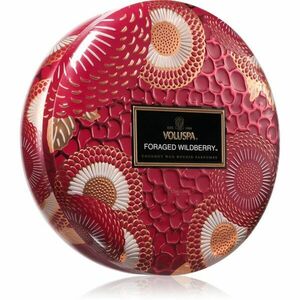 VOLUSPA Japonica Foraged Wildberry svíčka 340 g obraz