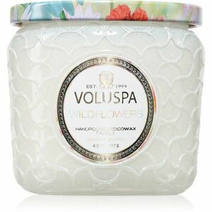 VOLUSPA Maison Blanc Wildflowers vonná svíčka 127 g obraz