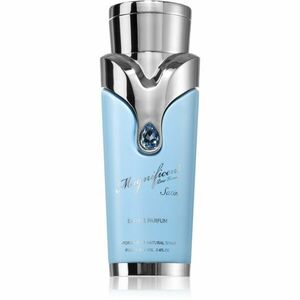Armaf Magnificent Satin parfémovaná voda pro muže 100 ml obraz