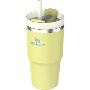 Stanley Quencher H2.O FlowState™ Tumbler nerezový tumbler s brčkem Pomelo 590 ml obraz