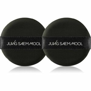 JUNG SAEM MOOL Cushion Puff houbička pro aplikaci make-upu 2 ks obraz