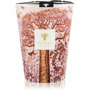 Baobab Collection Sacred Trees Woroba vonná svíčka 24 cm obraz