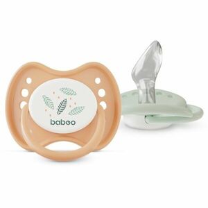 Baboo Soothers Silicone Orthodontic with Case dudlík Peachy Keen 0-6 m 2 ks obraz