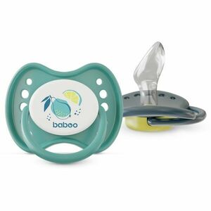 Baboo Soothers Silicone Orthodontic with Case dudlík Lagoon Fiesta 6-12 m 2 ks obraz
