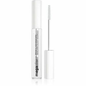 Wet n Wild Mega Clear transparentní řasenka na řasy a obočí odstín Transparent 8.5 ml obraz