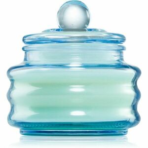 Paddywax Beam Fresh Air & Sea Salt vonná svíčka 85 g obraz