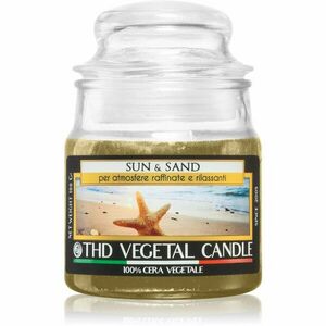 THD Vegetal Sun & Sand vonná svíčka 100 g obraz