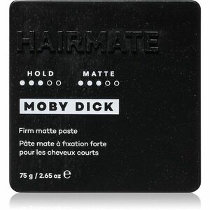 HAIRMATE Moby Dick matující stylingová pasta pro krátké až středně dlouhé vlasy 75 g obraz