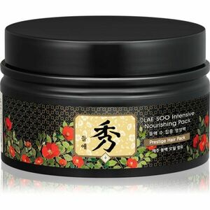 DAENG GI MEO RI Dlae Soo Intensive Nourishing Pack hloubkově vyživující maska pro poškozené vlasy 200 ml obraz