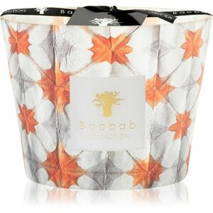 Baobab Collection Odyssée Calypso vonná svíčka 10 cm obraz
