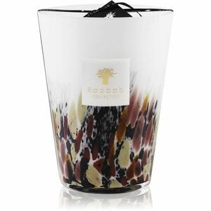 Baobab Collection Rainforest Tanjung vonná svíčka 24 cm obraz