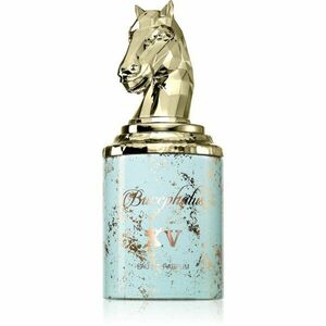 Armaf Bucephalus No. XV parfémovaná voda unisex 100 ml obraz