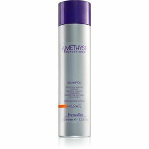 FarmaVita Amethyste Hydrate vyživující šampon pro suché vlasy 250 ml obraz