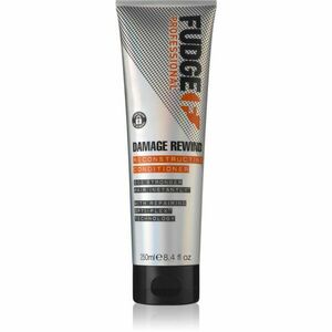 Fudge Care Damage Rewind kondicionér pro slabé a poškozené vlasy 250 g obraz