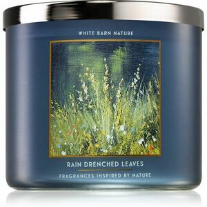 Bath & Body Works Rain Drenched Leaves vonná svíčka 411 g obraz