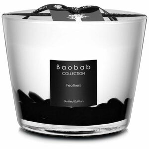 Baobab Collection Feathers vonná svíčka 10 cm obraz
