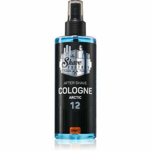 The Shave Factory Arctic voda po holení 250 ml obraz