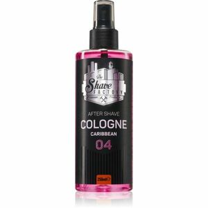 The Shave Factory Caribbean voda po holení 250 ml obraz