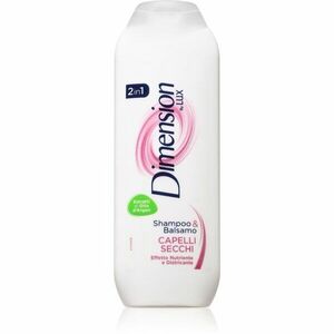 Dimension by Lux 2in1 šampon a kondicionér 2 v 1 pro suché vlasy 250 ml obraz