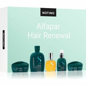 Beauty Discovery Box Notino XL - Alfaparf Hair Renewal sada pro ženy obraz
