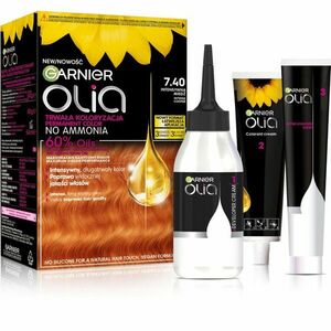 Garnier Olia obraz