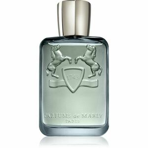 Parfums De Marly Castley parfémovaná voda pro muže 125 ml obraz