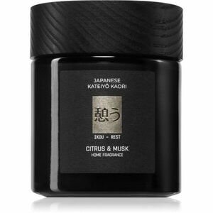 Vila Hermanos Apothecary Japanese Rest vonná svíčka 150 g obraz