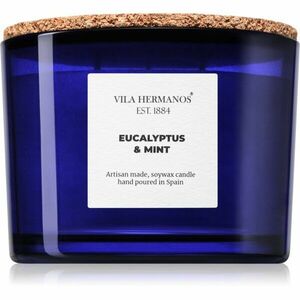 Vila Hermanos Apothecary Cobalt Blue Eucalyptus & Mint vonná svíčka 350 g obraz
