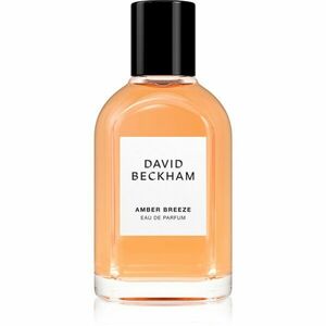 David Beckham Amber Breeze parfémovaná voda pro muže 50 ml obraz