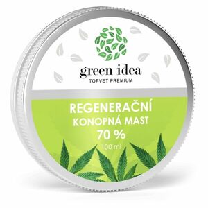 GREEN IDEA Regenerační konopná mast 70% 100 ml obraz