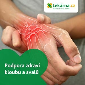 Podpora zdraví kloubů a svalů obraz