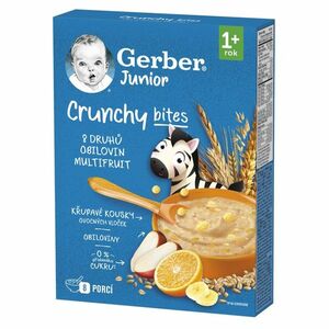 GERBER Junior nemléčná kaše ovocná 12m+ 200 g obraz