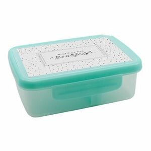 ZDRAVÁ SVÁČA Scandi 571 box tyrkys 900 ml obraz