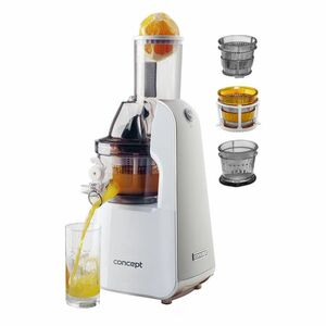 CONCEPT LO7066 Lis na ovoce a zeleninu home made juice bílý obraz