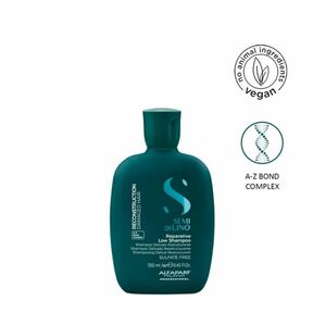 ALFAPARF MILANO Semi Di Lino Reconstruction Šampon 250 ml obraz