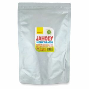 WOLFBERRY Jahody sušené mrazem 100 g obraz