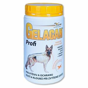 GELACAN Plus profi 500 g a.u.v. obraz