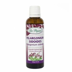 DR. POPOV Pelargonium sidoides bylinné kapky 50 ml obraz
