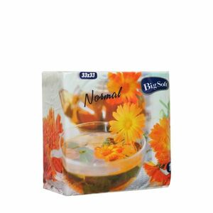 BIG SOFT ubrousky 33 x 33cm 1vrstvé 100 kusů obraz