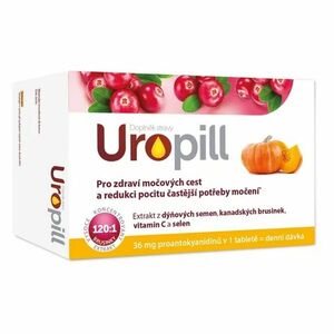 UROPIL 30 tablet obraz