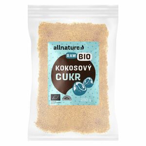 ALLNATURE Kokosový cukr BIO 250 g obraz