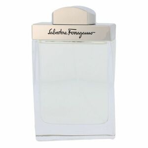 SALVATORE FERRAGAMO Pour Homme Toaletní voda 100 ml obraz