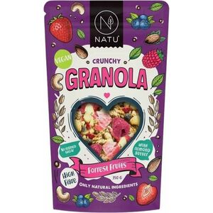 NATU Granola Lesní plody 350 g obraz