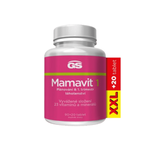 GS Mamavit 1 Plánování a 1. trimestr 110 tablet obraz